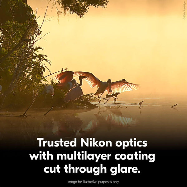 Nikon ACTION 10x50 Binocular | Multilayer-Coated Nikon Optics, Bright 50mm Objective Lenses