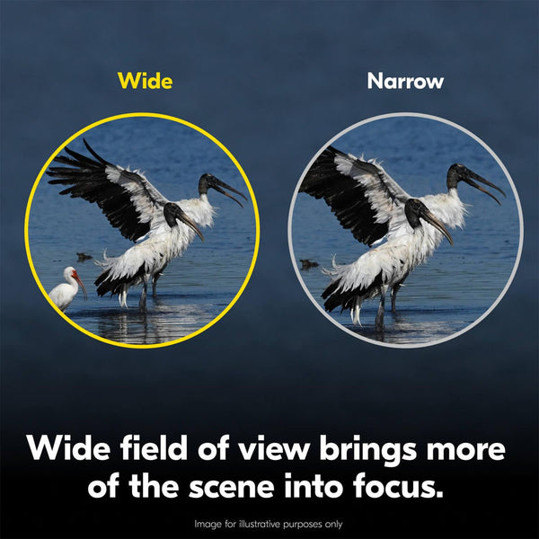 Nikon ACTION 10x50 Binocular | Multilayer-Coated Nikon Optics, Bright 50mm Objective Lenses