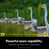Nikon Action Zoom 10-22x50 Binocular