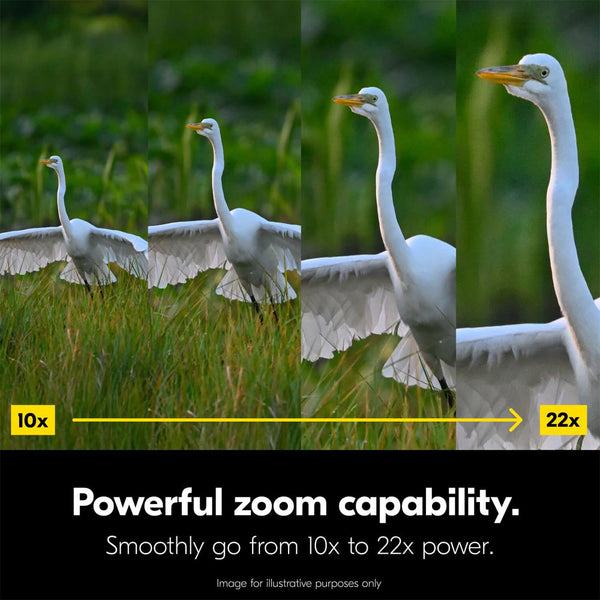 Nikon Action Zoom 10-22x50 Binocular