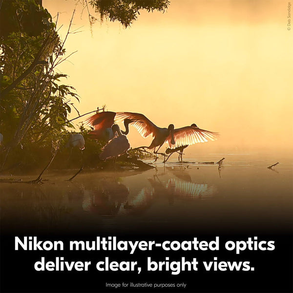 Nikon Action Zoom 10-22x50 Binocular