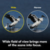 Nikon ACTION 10x50 Binocular | Multilayer-Coated Nikon Optics, Bright 50mm Objective Lenses